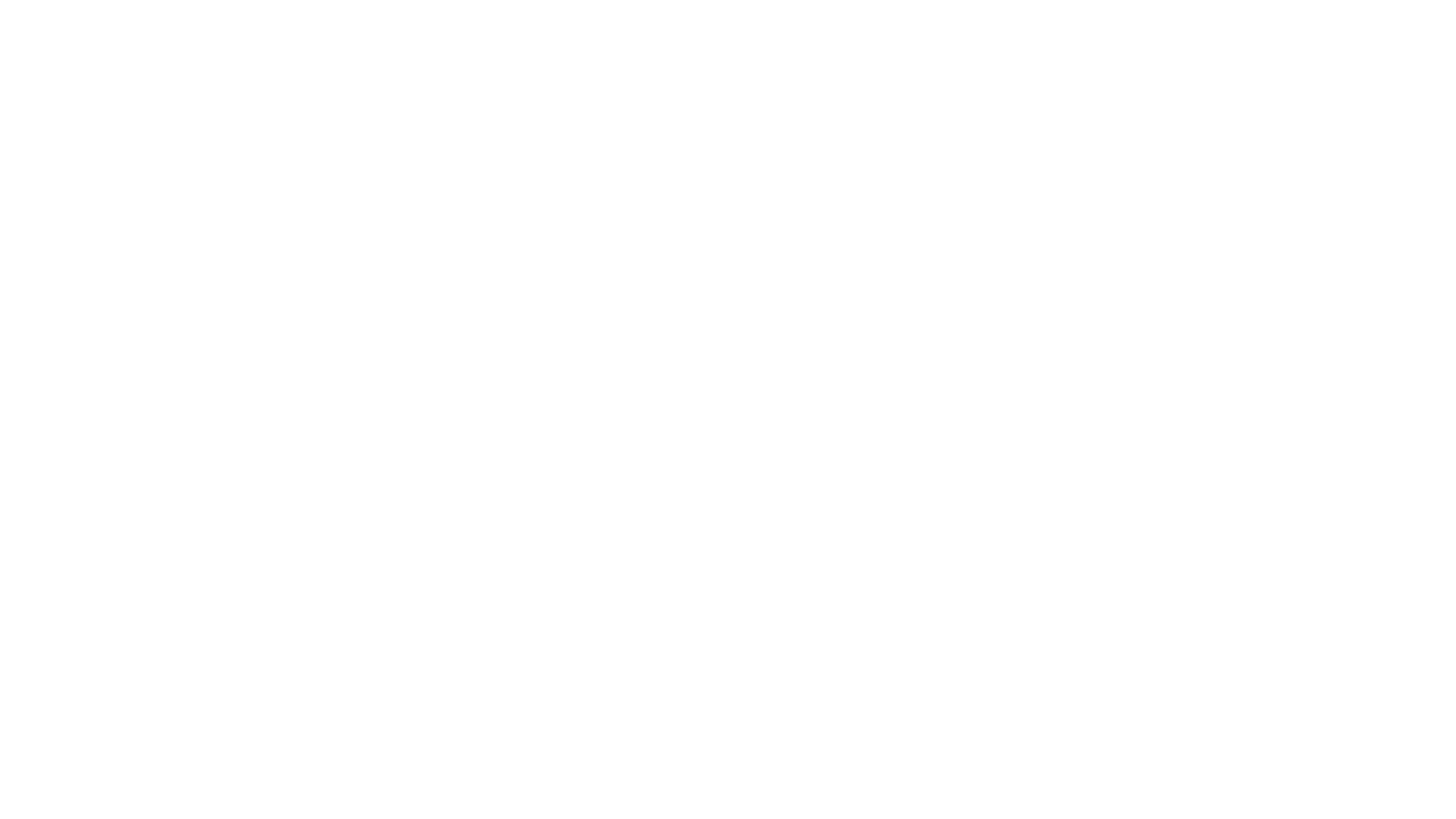 logo insight centro de estudios en liderazgo blanco 2